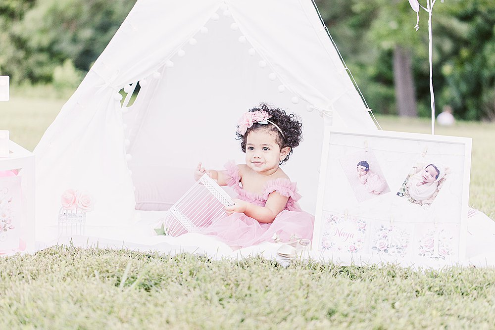 Smash the Cake Session to Celebrate a First Birthday; Clara Farag Photography; natural light photographer Raleigh, NC;