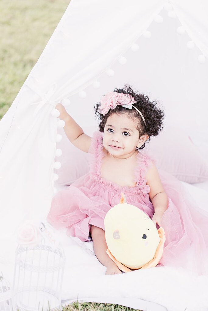 Smash the Cake Session to Celebrate a First Birthday; Clara Farag Photography; natural light photographer Raleigh, NC;