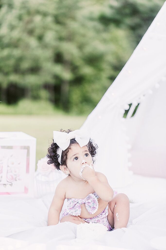 Smash the Cake Session to Celebrate a First Birthday; Clara Farag Photography; natural light photographer Raleigh, NC;